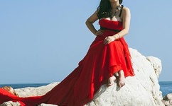 凤凰卫视晓田间谍